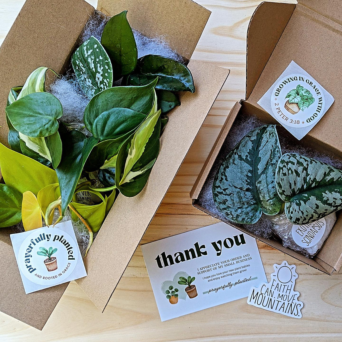 Prayerfully Planted sample packaging order showing plant cuttings carefully packed in a kraft box with protective filler, thank you card, and stickers