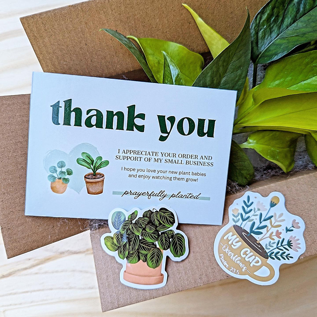 Sample live plant cutting order from Prayerfully Planted packaged in a kraft mailer with protective filler, thank you card, and plant stickers