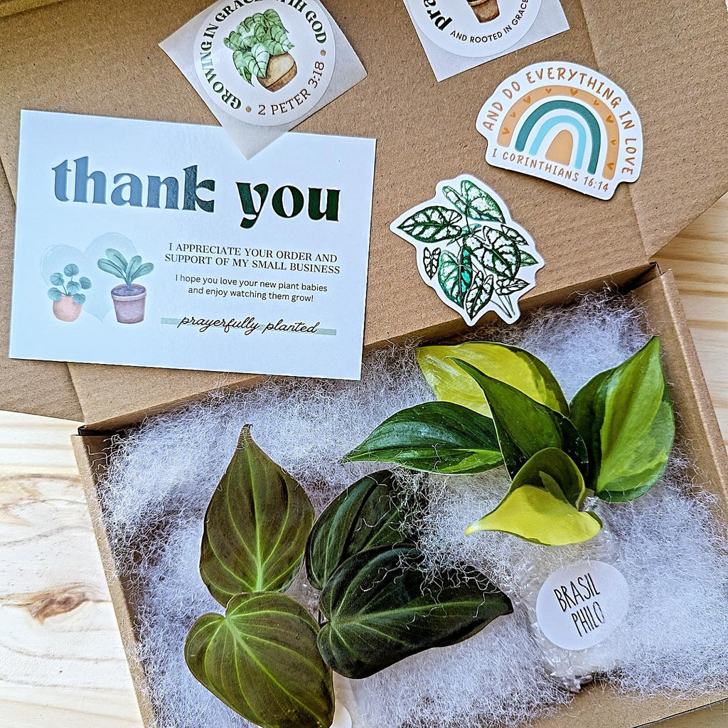 Sample live plant cutting order from Prayerfully Planted packaged in a kraft mailer with protective filler, thank you card, and plant stickers