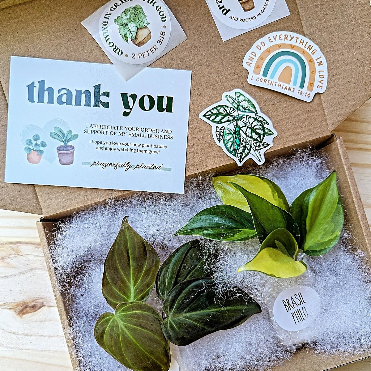 Sample live plant cutting order from Prayerfully Planted packaged in a kraft mailer with protective filler, thank you card, and plant stickers