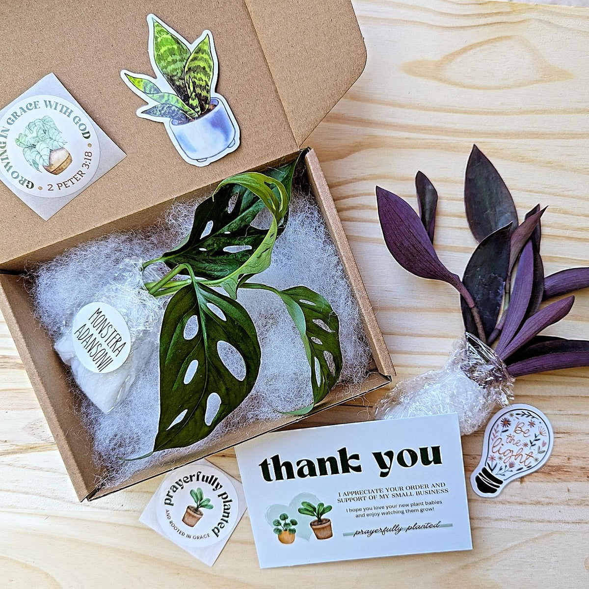 Prayerfully Planted sample packaging order showing plant cuttings carefully packed in a kraft box with protective filler, thank you card, and stickers